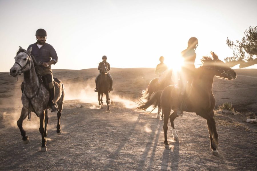 </noscript>Horse Ride at Agafay