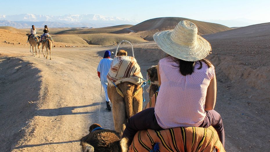 ¡Baladez-vous à dos de chameau au coucher du soleil dans le désert d'Agafay !